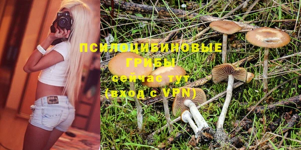мяу мяу мука Баксан